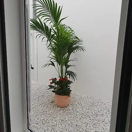 شقة Pueblo N11